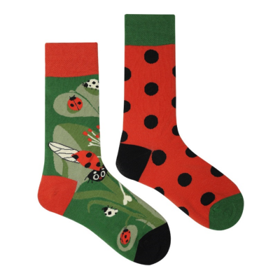 Socks (5-10.5) - Ladybirds & Spots (Green / Red)